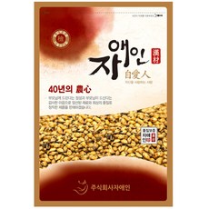 자애인 국산 볶은보리 보리차, 1kg, 1개입, 1개 1kg, 1개입, 1개