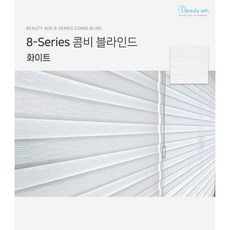 뷰티윈 8시리즈 주문제작 콤비 블라인드