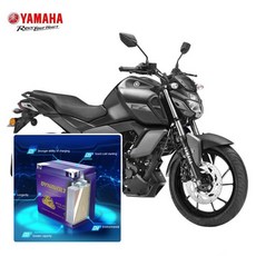 DYNAVOLT 膠體電池 YTX5L-BS ETZ-5 適用於 YAMAHA Fzs150 V4 FZ25, 1個, FZ150 V3