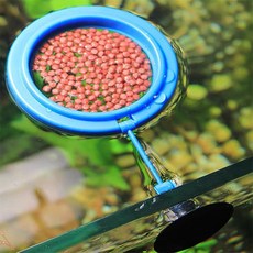 미요몰 물고기 피딩틀 거북이피딩컵