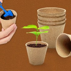 생분해 종이컵 분갈이화분, 1개