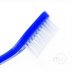 몽이상점 애견 칫솔 중형견칫솔, 2개