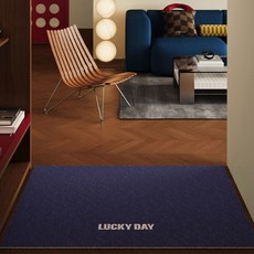 ETUDIER 코일 현관매트 출입구 발코니 매트, 1개, 블루스 블루80x120cm