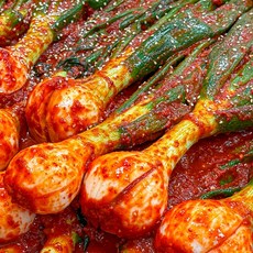 [국산]아삭한 양파줄기김치 별미김치 양파대 밑반찬, 1개, 1kg