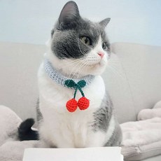 강아지 뜨개스카프 비숑 니트 악세사리 소품 대형견 말티즈, 02케이프-그린M