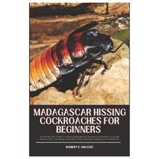 (영문도서) Madagascar Hissing Cockroaches for Beginners: A Step-By-Step Guide for Raising... Paperback, Independently Published, English, 9798309343577