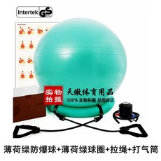짐볼의자 고정대 짐볼체어 밸런스 홈트 블랙볼+링+펌프 코어운동 55cm 요가, A. 55cm 키 5060cm, S. 민트 녹색 무광택 폭발 방지 볼 볼 링 공기 펌프