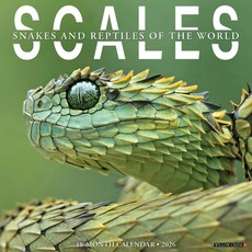 (영문도서)Scales 12 X 12 Wall Calendar Spiral, Willow Creek Press Calendars, English, 9781549256110
