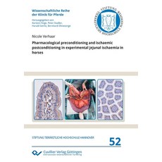 (영문도서) Pharmacological preconditioning and ischaemic postconditioning in experimental jejunal ischae... Paperback, Cuvillier, English, 9783736974333
