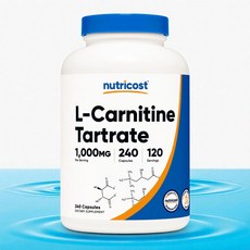 뉴트리코스트 엘카르니틴 L-카르니틴 타르트레이트 1 000mg 240캡슐, 1개