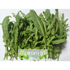 [미래다나팜] 와일드 루꼴라1kg (국내생산 당일생산), 1kg, 1개
