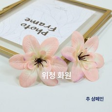 스시 장식꽃 사시미 회접시 일식집 이자카야 데코레이션, 오텀샴페인