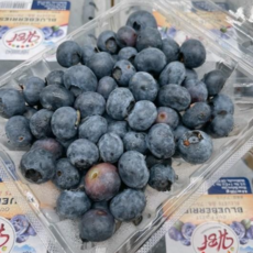 생 블루베리 특대과(16mm) / 종이박스 + 플라스틱 팩 포장 / 팩당 125g, 1세트, 블루베리 특대과(16mm) 2팩 [125g*2팩]