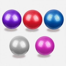 L짐볼 55 홈트레이닝 밸런스운동 요가 필라테스 헬스 스트레칭 펌프포함, E짐볼55 퍼플