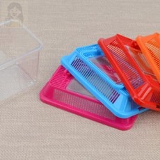 너블룸 곤충채집통 미니 사육통