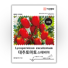 [주주씨앗] 대추토마토 씨앗 30립 / 고당도 스테비아 대추방울토마토 종자, 1개