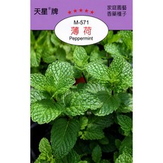 天星牌 薄荷種子 M-571 野菜部屋原包裝, 1包