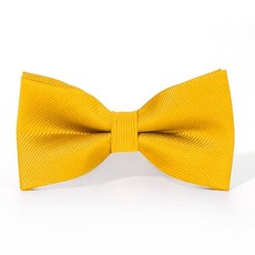 남녀공용 보타이 옐로우 유아보타이
