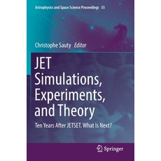 JET Simulations Experiments and Theory: Ten Years After JETSET. What Is Next? Paperback, Springer