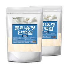 분리유청단백질 분말 500g, 2개