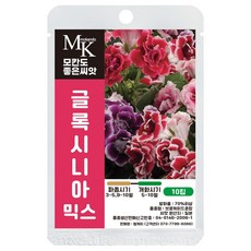 모칸도 좋은씨앗 글록시니아 씨앗 믹스 10립 꽃씨 꽃씨앗, 1개