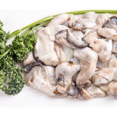 고성 생굴 중굴 1kg 수확 손질 신선 배송 제철 음식, 1개, 생굴 1kg