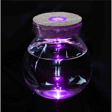 미니사라 마리모 키우기 LED 코르크 유리병 12x13cm 투명유리병