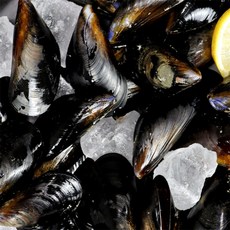 유쎌몰 홍합 1kg 자연산섭 동해안섭