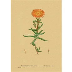 빈티지 영화 포스터 레트로 크래프트 종이 인쇄 선물 클래식 필름 홈 룸 시네마 클럽 장식 미적 예술 벽화, A3 16.5x11.8inch, 24