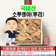 국내산 소루쟁이(뿌리) 300g ( 경북 영천) 국산, 1개