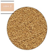 스토어연 골드피쉬 금붕어 비단잉어 색상영양사료 100g 관상용물고기