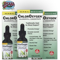 허브 Herbs Etc ChlorOxygen 알코올 프리 30ml 액상 엽록소 농축물 3개