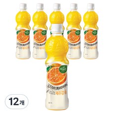 NATURE is 濟州柑橘汁, 500ml, 12瓶