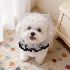 윤화마켓 강아지커버 산책망 해충방지 페이스, 프리사이즈 지름 26cm 추천 소형견, [스타리블랙] 음식물 긁힘 방지, 1개