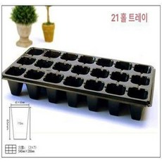 묘종트레이 깊은 육모판 고추 130개입250개입 봄꽃, 두꺼운 21구 100g 200장 박스