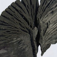 참숯 백탄 생활숯 정제 탈취 물정화 밥 국산 숯 탄, 1개