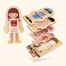 노벨랜드 신체 퍼즐 남아 여아 내 몸속 학습 원목 교구, 어린이신체퍼즐-여아, 어린이신체퍼즐-여아