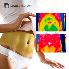 비밀공장 갈색지방 활성화의 끝판왕 뱃살 복부 바디 다이어트 패치 4 Set (총20매), 5매입, 4개