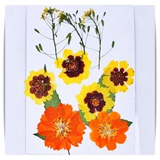 드라이플라워 압화 꽃잎 말린 꽃 재료 석고방향제 비누