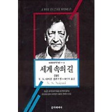 세계 속의 길(상), 문학세계사, V.S 네이폴 저