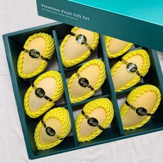 프리미엄 태국 망고 골드망고 선물세트 항공수입, 1박스, 태국망고 3.3kg 특대(9과)