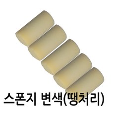 땡처리판매 변색된 스폰지로라 55mm 스폰지 5개 세트