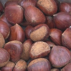 공주 정안 햇밤 알밤 1kg 대 햇생밤 답례품 설 선물, 단품, 1