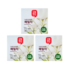 오늘좋은 메밀차, 3세트, 100개입, 1.5g