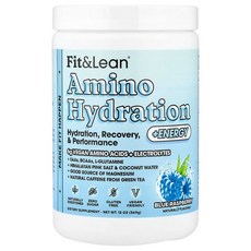 Fit & Lean 아미노 하이드레이션 + 에너지 블루 라즈베리 369g(13oz) Lean (핏 린), 1개, 1개