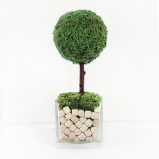 모스트리 순록이끼나무 핸드메이드 스칸디아모스, 모스그린, 1개