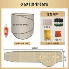 원적외선 진동 허리 벨트 온열 마사지 진정기 슬리밍 뷰티, 6모터 클래식 2개소포장 +, 기본 모델명/품번