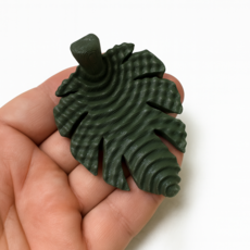 햄달 나뭇잎탈피보드 중사이즈, 딥그린, 1개