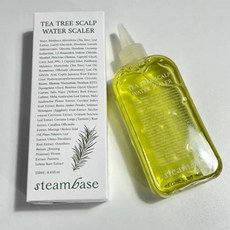 STEAMBASE 티트리 스칼프 워터 스케일러 250ml, 1개