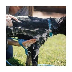 펫글러브 애견샤워기호스 반려견목욕 샤워 위생 애견마사지 마사지 외출용품 강아지 샤워홓스, 1개, 상세페이지 참조